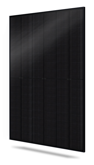 SoliTek Blackstar Series